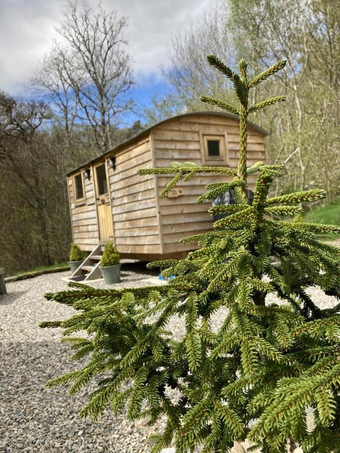 Highland Bear Lodge & Luxury Bear Huts Drumnadrochit Ngoại thất bức ảnh
