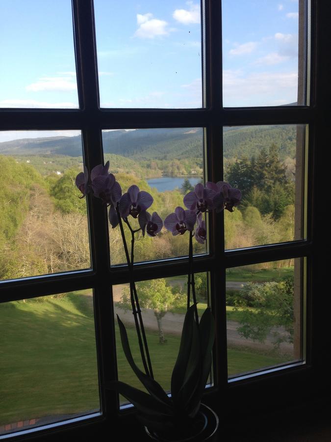 Highland Bear Lodge & Luxury Bear Huts Drumnadrochit Ngoại thất bức ảnh