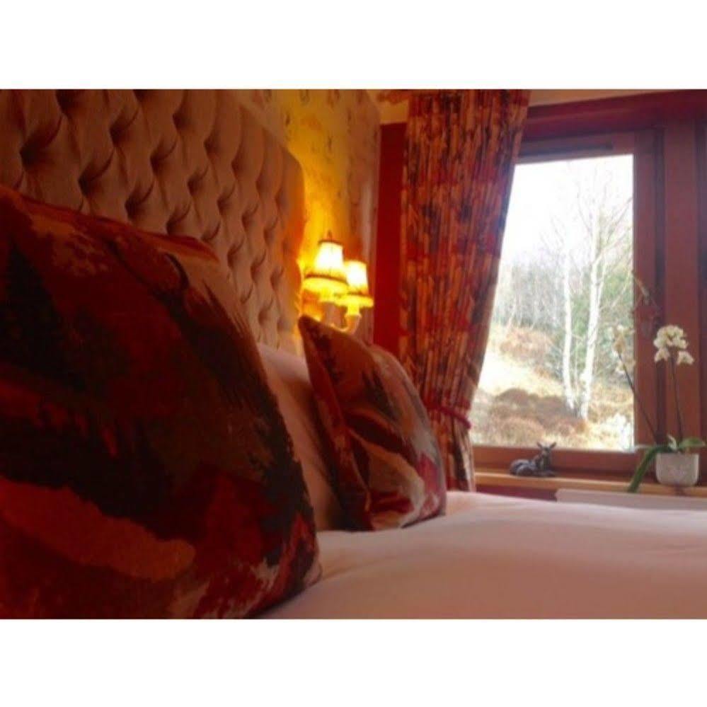 Highland Bear Lodge & Luxury Bear Huts Drumnadrochit Ngoại thất bức ảnh