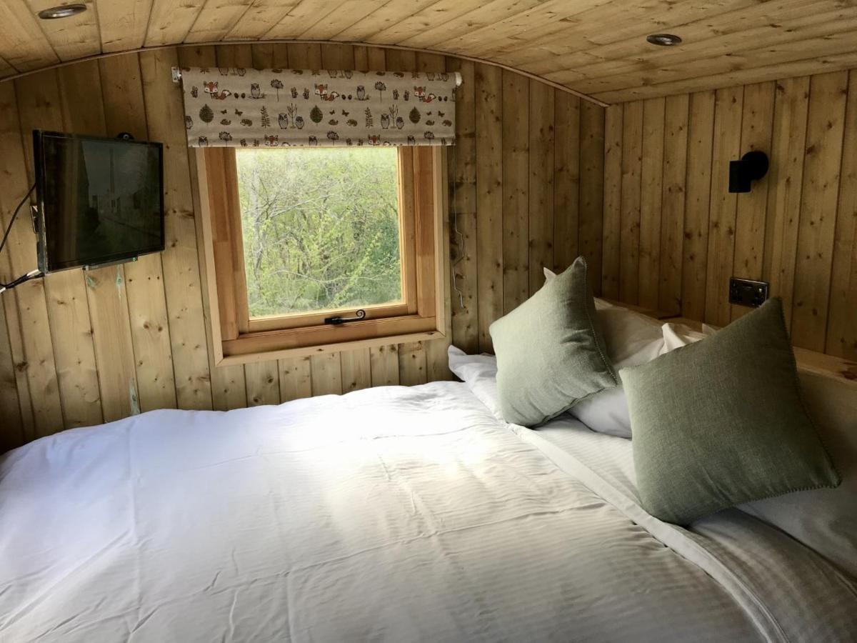 Highland Bear Lodge & Luxury Bear Huts Drumnadrochit Ngoại thất bức ảnh